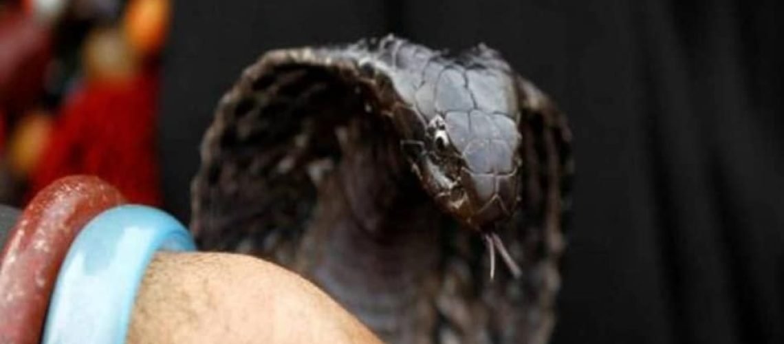 68d0b944b75c1-kanpur-women-locked-in-room-and-got-bitten-by-snake-224935551-16x9