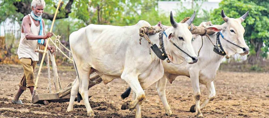 Agriculture