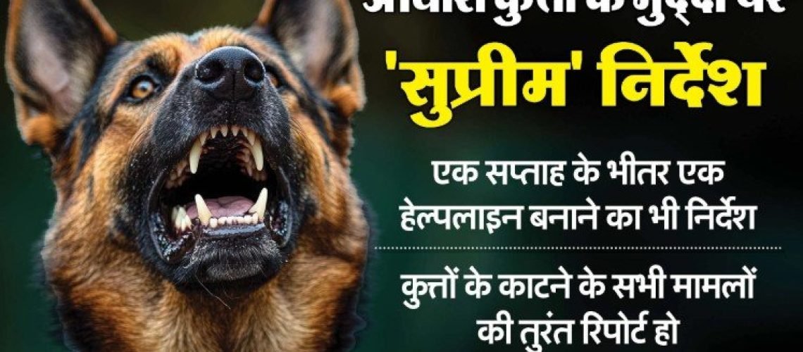 Screenshot 2025-08-12 124133