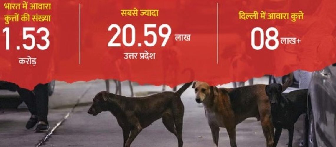 2019 में हुई 20वीं पशुधन जनगणना के मुताबिक आंकड़े - फोटो :